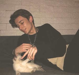 Ảnh đại diện người dùng Phạm Thùy Linh