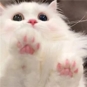 Ảnh đại diện người dùng Lê Thị Hồng